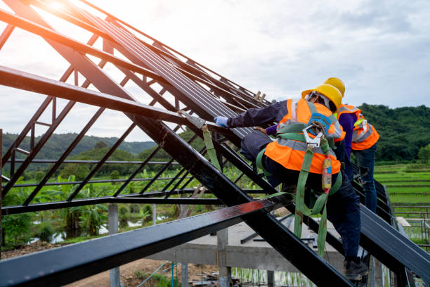 Best Storm Damage Roof Repair  in Paisley, FL