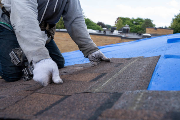 Residential Roof Replacement in Paisley, FL