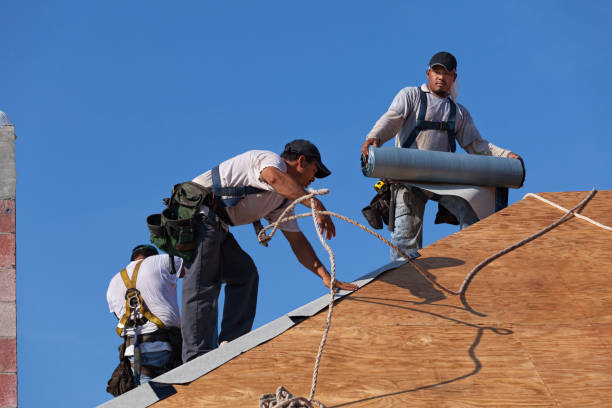 Best Roof Replacement Cost  in Paisley, FL