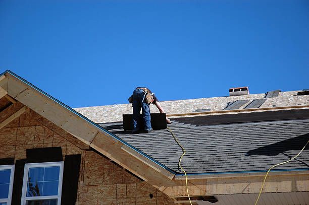 Best Metal Roofing Contractor  in Paisley, FL