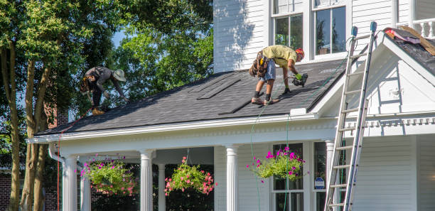Best Best Roofing Contractors  in Paisley, FL