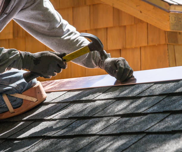 Best Shingle Roofing Installation  in Paisley, FL